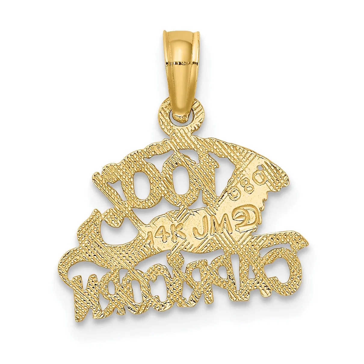 14K Yellow Gold Polished Textured Finish 100% Zodiac CAPRICORN Charm Pendant